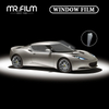 Auto Window Tint