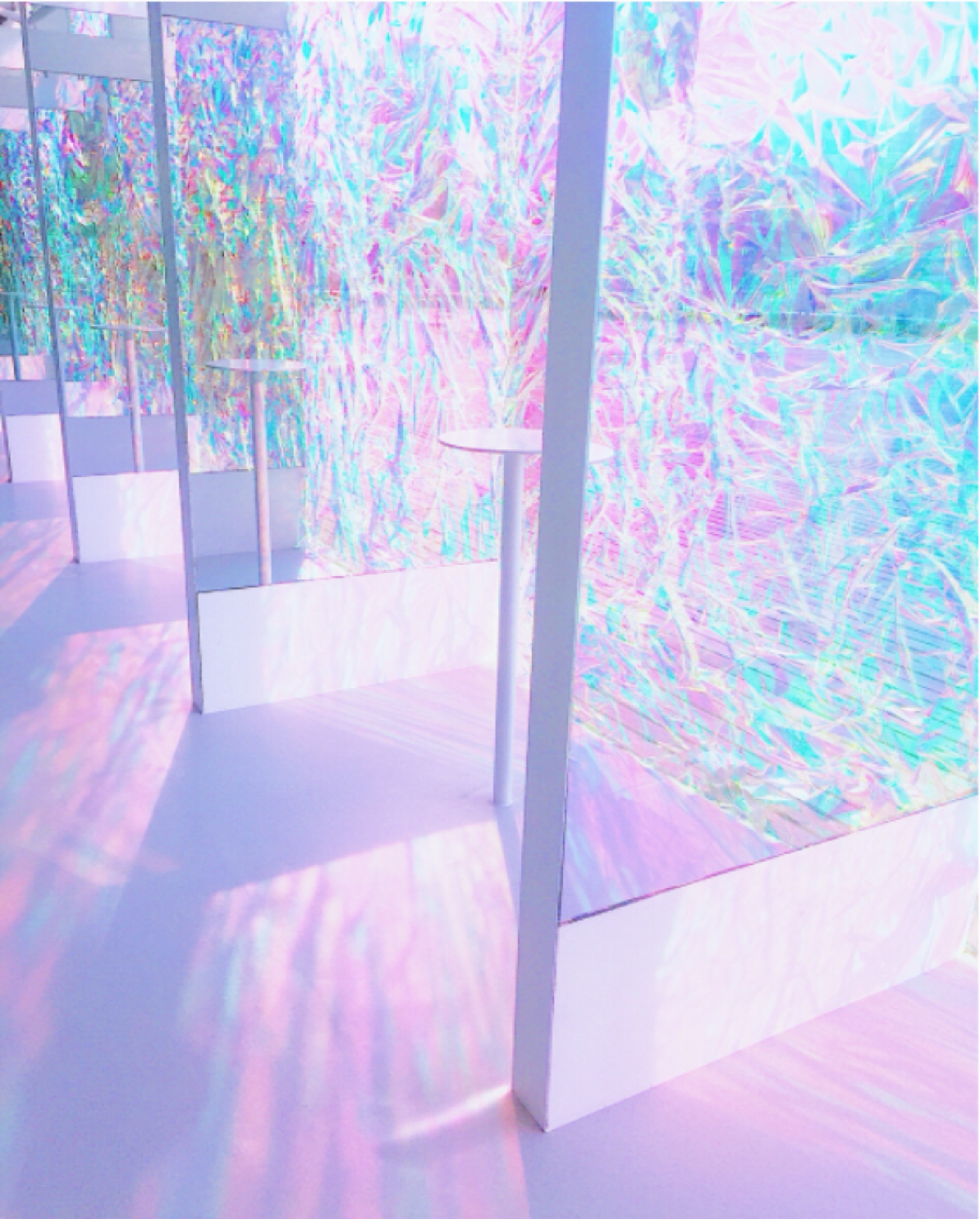 Floral Print Window Film Colorful Privacy Window Tint
