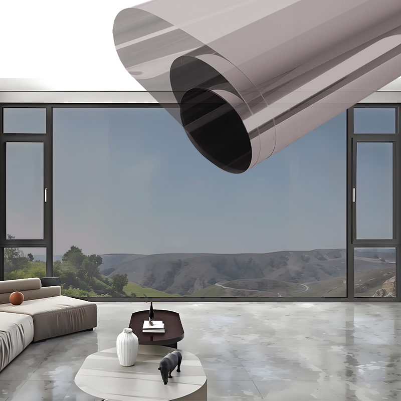 Transform Your Space with Mr.Film Frosted Window Films