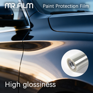 paint protection film