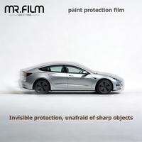 paint protection film