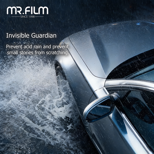 Paint Protection Film