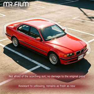 paint protection film