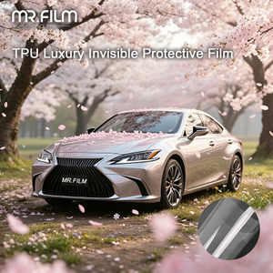 Paint Protection Film